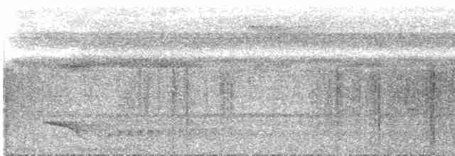 Лінивка-чорнопер білолоба - ML611977861