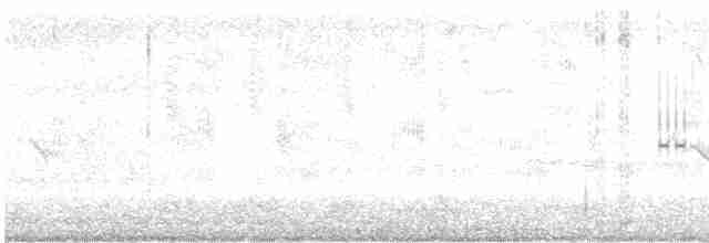 Ahate buztanluzea - ML611982614