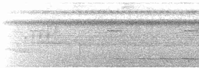 White-tailed Trogon - ML611984929