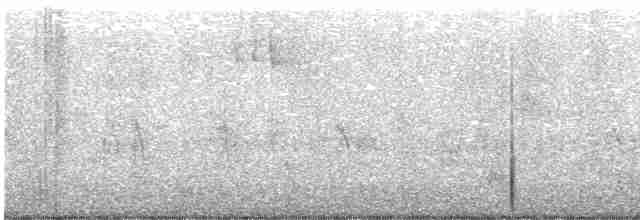 "Шишкар ялиновий (Western Hemlock, або тип 3)" - ML611987255