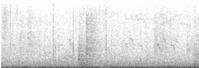 "Шишкар ялиновий (Western Hemlock, або тип 3)" - ML611987394