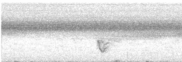 Dark-breasted Rosefinch - ML611993039