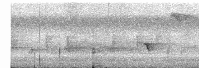 Bianchi's Warbler - ML611995286