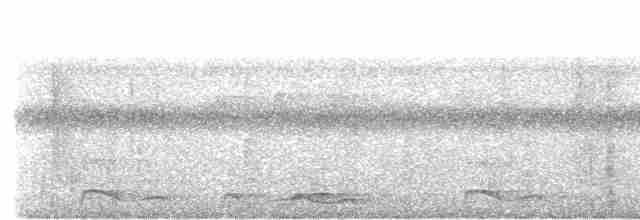 Güneyli Kestanerengi Karıncakuşu - ML611999684