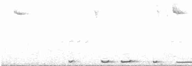 Plumbeous Pigeon - ML611999822