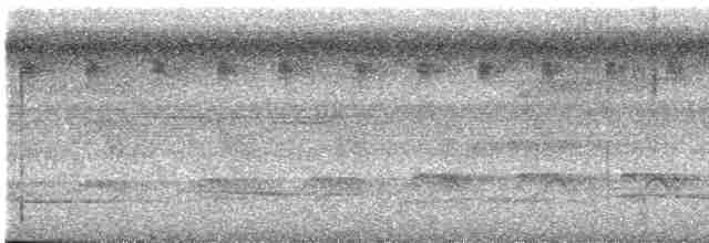 Мурав’янка сірочерева - ML612000230