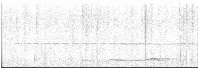 Silky-tailed Nightjar - ML612001430