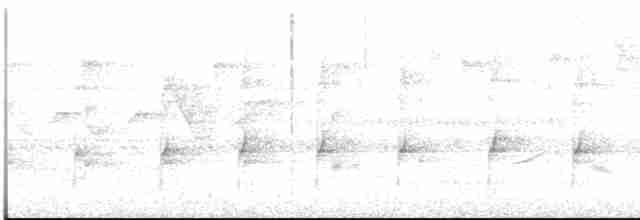 Eared Pygmy-Tyrant - ML612001627