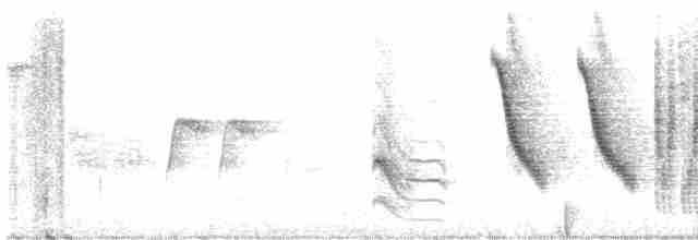 Troglodyte de Zapata - ML612002011
