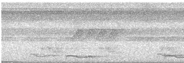 Тиран-карлик амазонійський - ML612002336