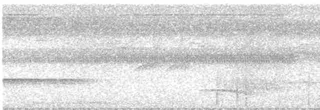 Plumbeous Pigeon - ML612002370