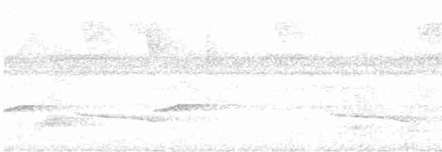 Синешапочный трогон - ML612009139