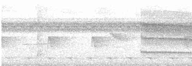 Серохохлая чубатка - ML612009153