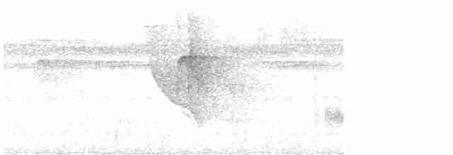 Dusky-throated Antshrike - ML612009167