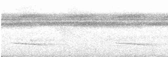 Slaty-capped Shrike-Vireo (Slaty-capped) - ML612009412