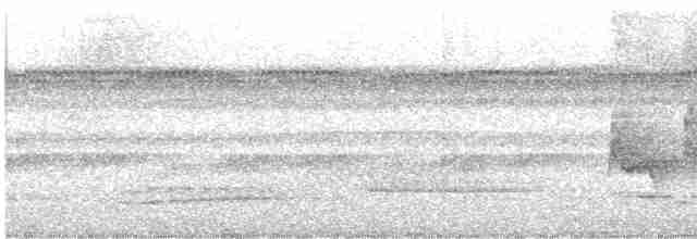 White-necked Thrush (Gray-flanked) - ML612009506