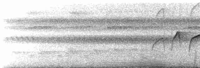 Мурав’янка-куцохвіст гвіанська - ML612012188