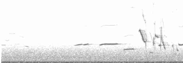 Western Meadowlark - ML612012475