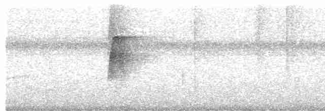 Мурав’янка-куцохвіст велика - ML612013059
