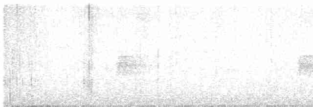 Lesser Antillean Euphonia - ML612014735