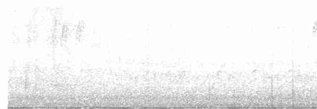Каролинский крапивник - ML612015228