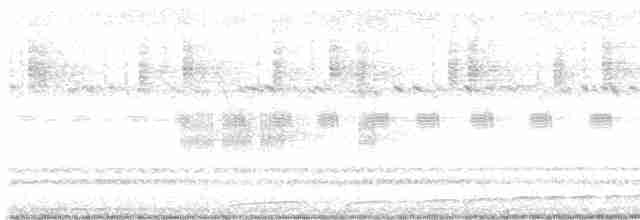 White-throated Nightjar - ML612016510