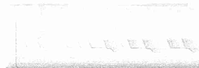 Міагра сріблиста - ML612018172