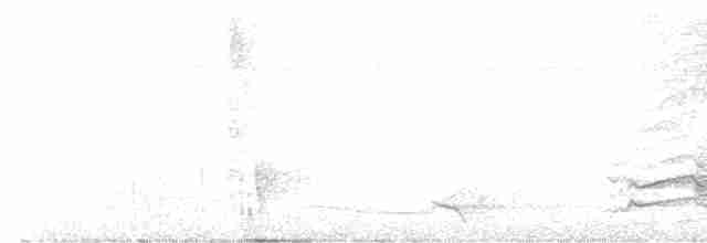 Black-eared Catbird - ML612018582