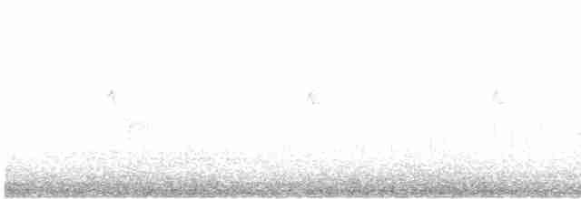 kachnice kaštanová - ML612018710