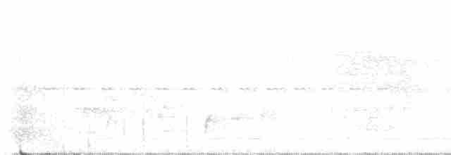 Short-tailed Antthrush - ML612019342