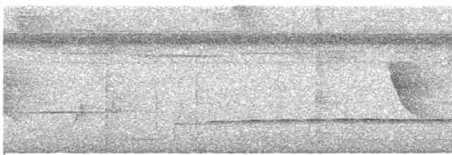 Каатинга плямистокрила - ML612019761