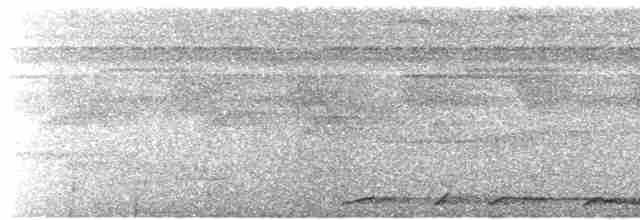Голуб коста-риканський - ML612019768