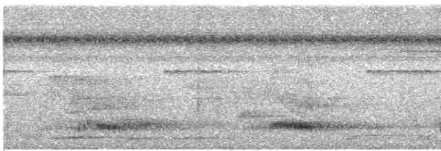 tukan hnědošíjný - ML612019774