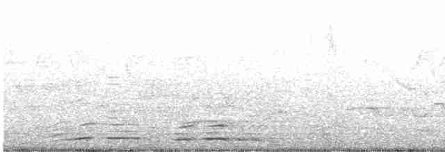 Чернобородый дятел - ML612020346