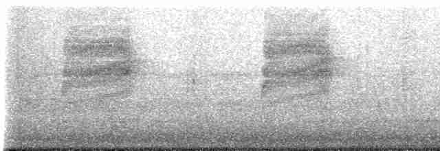 Bewick Çıtkuşu - ML612020529