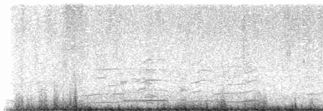 Grulla Trompetera - ML612025723