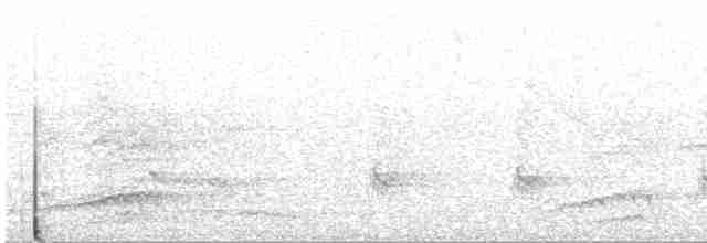 White-necked Crow - ML612025790