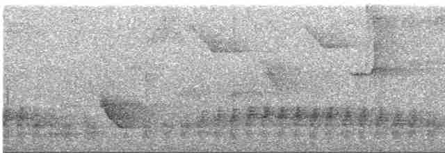 Hispanyola Kertenkele Guguğu - ML612025873