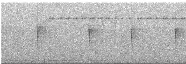Дроздовый певун - ML612025895