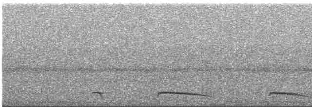 Розовобрюхий трогон - ML612026380