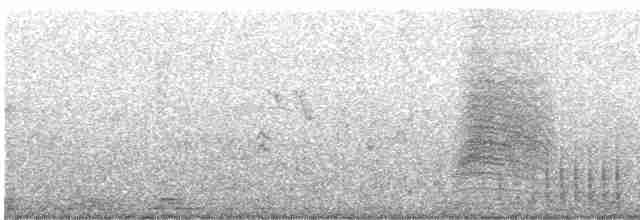 Gray Catbird - ML612026988