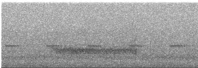 Сипуха гаїтійська - ML612027104