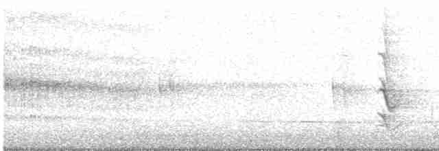 Damalı Büyük Ağaçkakan - ML612027484
