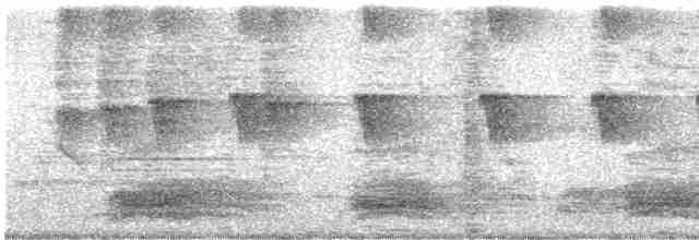 House Crow - ML612027976
