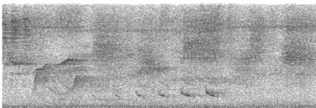 Turuncu Göğüslü Trogon - ML612029403