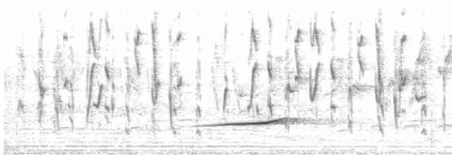 Сиреневогрудая нектарница - ML612030094