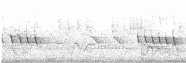 Graunektarvogel - ML612032235