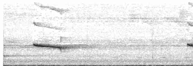Дятел-смугань жовтобровий - ML612033279