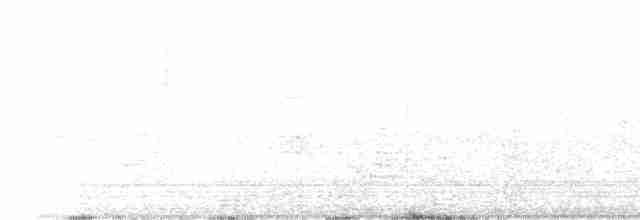 Сова-голконіг острівна - ML612033538