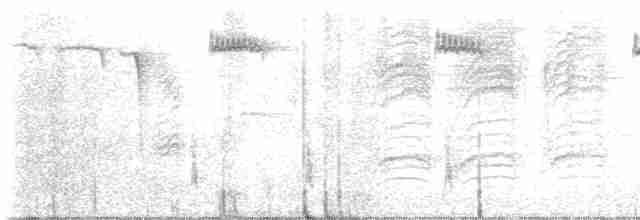 Münzevi Bülbül Ardıcı - ML612037138
